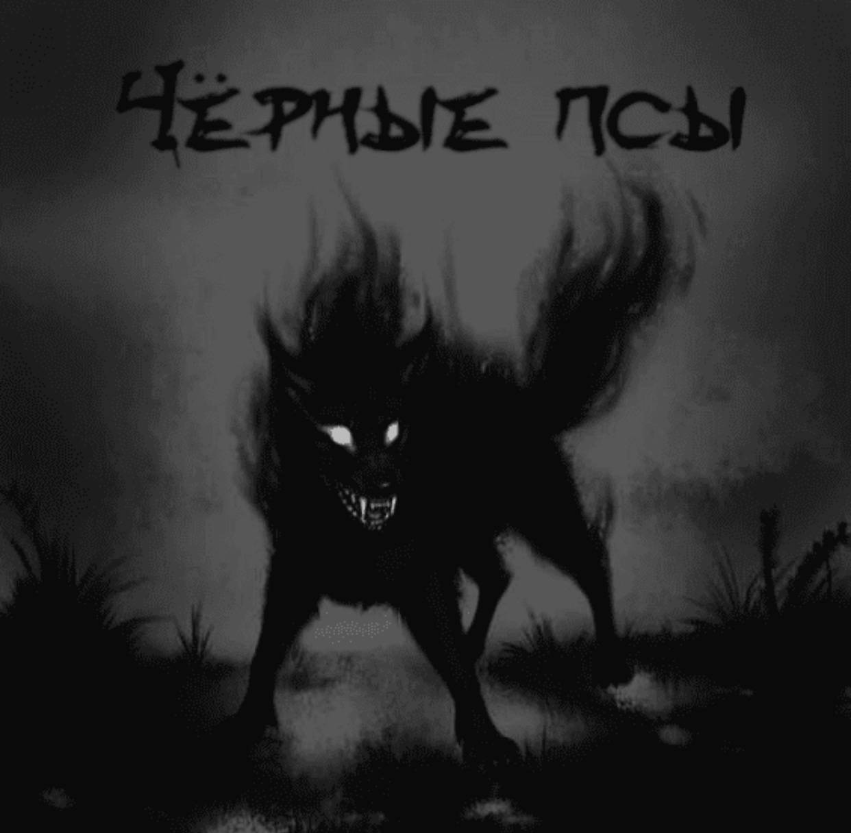 Demon dogs. Черный Вольф Вольф человек волк. Баргест Ведьмак 1. Адская гончая черный Шак.